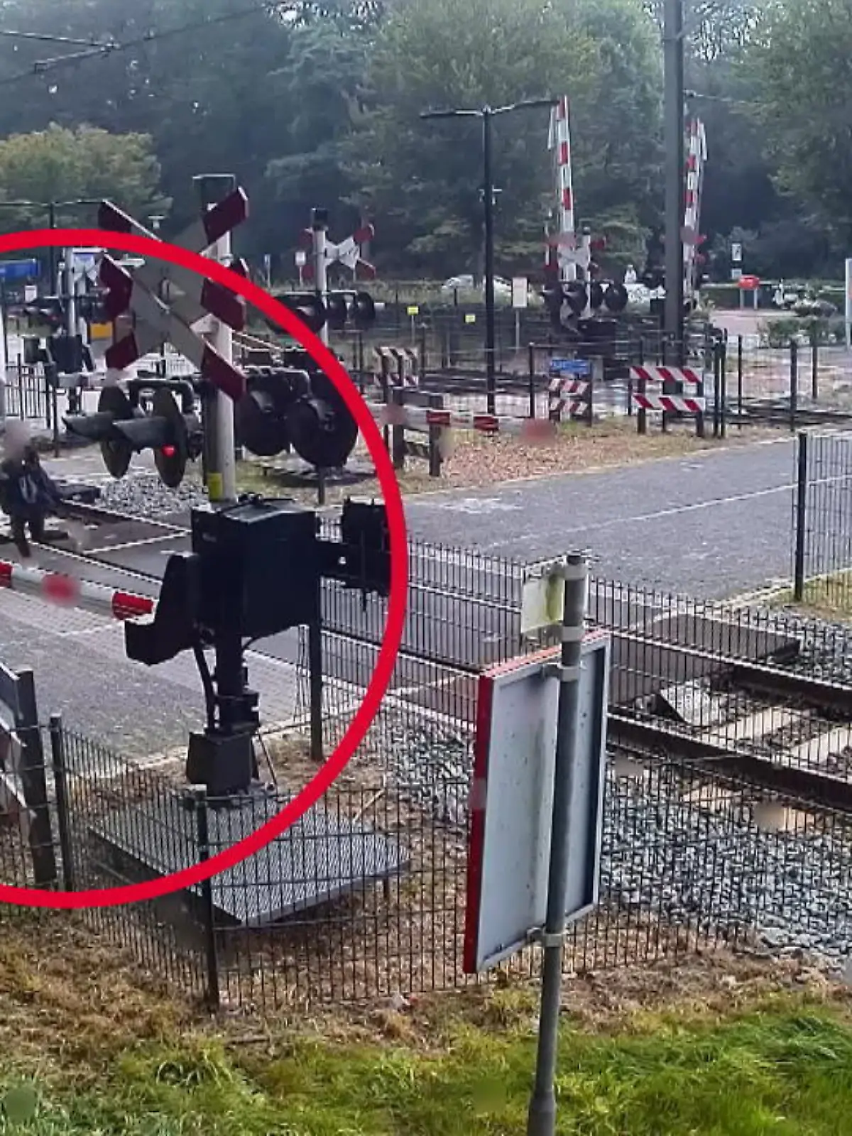 Bild zu: "Schockvideo: Frau fast von Zug erfasst"