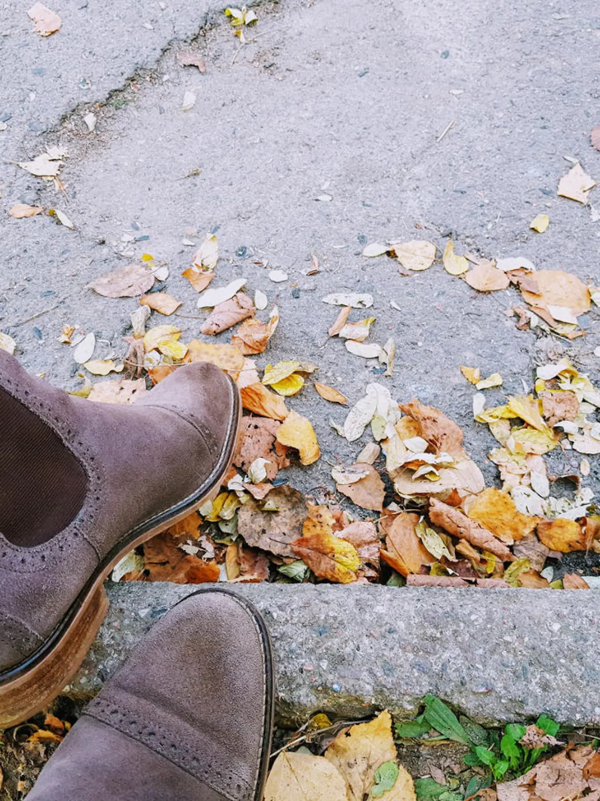 Ankle boots chelsea on legs in jeans on a background of asphalt and yellow autumn leaves.