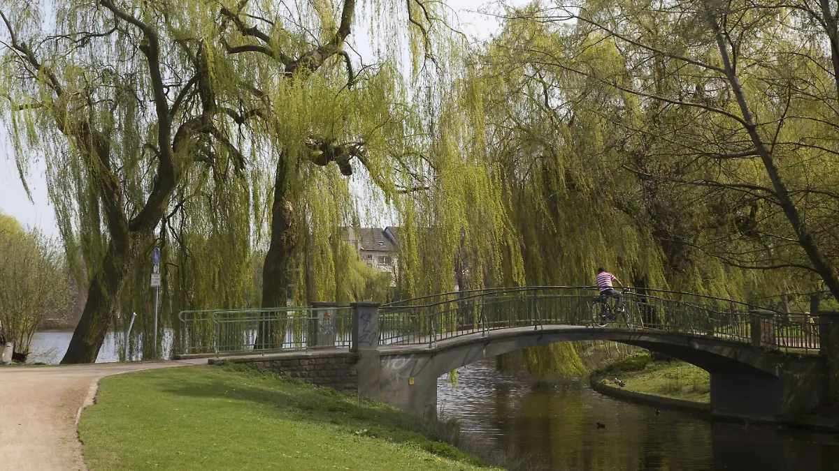Bildnummer: 53161998 Datum: 10.04.2009 Copyright: imago/ecomedia/robert fishman
Brücke im Park am Ahseteich in Hamm, Landschaft; 2009, Deutschland , Stadtpark ,; , quer, Kbdig, Totale, , , Nordrhein Westfalen, Europa
Bildnummer 53161998 Date 10 04 2009 Copyright Imago ecomedia Robert Fishman Bridge in Park at in Hamm Landscape 2009 Germany City Park horizontal Kbdig long shot North Rhine Westphalia Europe