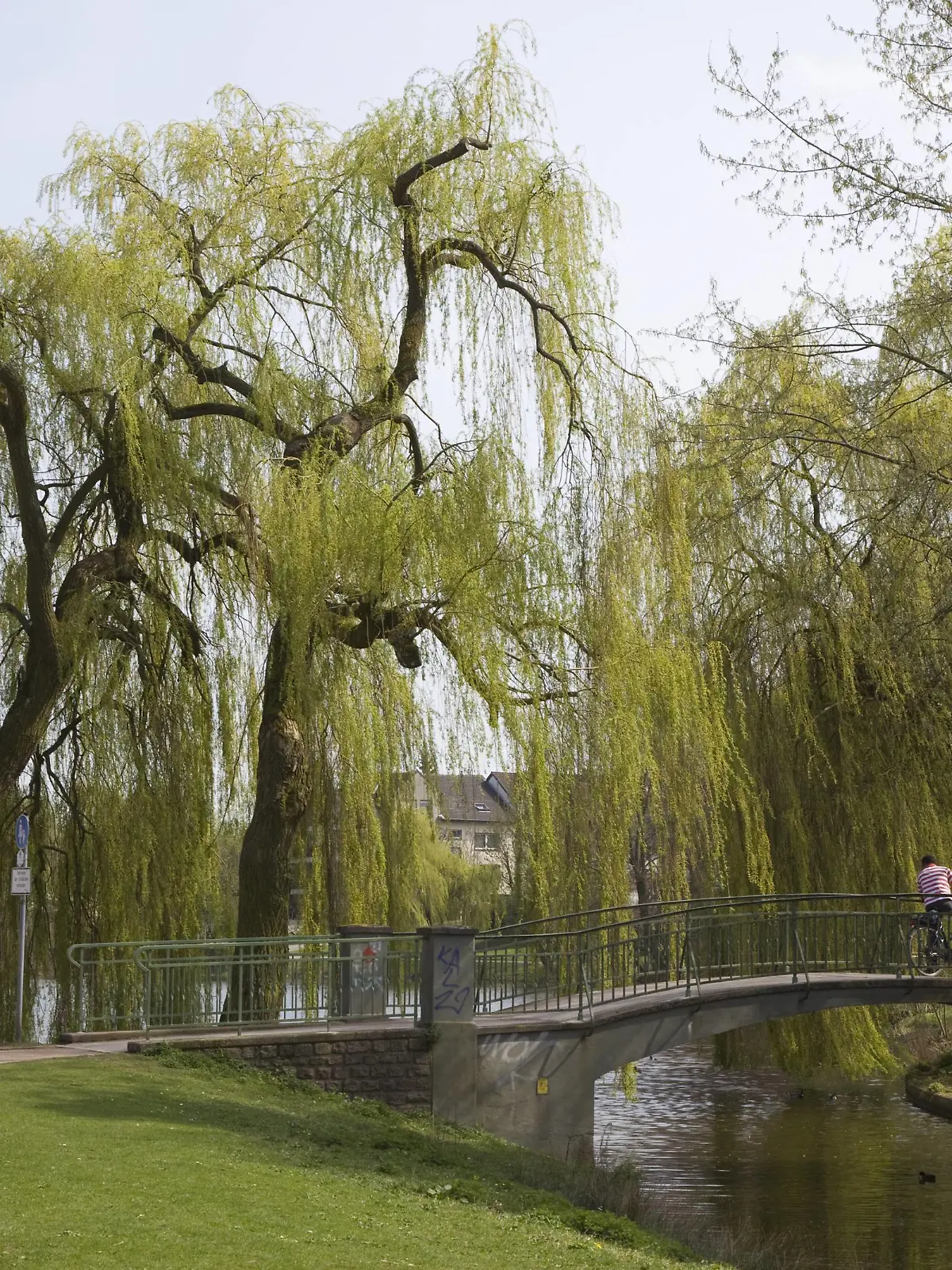 Bildnummer: 53161998  Datum: 10.04.2009  Copyright: imago/ecomedia/robert fishman
Brücke im Park am Ahseteich in Hamm, Landschaft; 2009, Deutschland , Stadtpark ,; , quer, Kbdig, Totale,  ,  , Nordrhein Westfalen, Europa

Bildnummer 53161998 Date 10 04 2009 Copyright Imago ecomedia Robert Fishman Bridge in Park at  in Hamm Landscape 2009 Germany City Park horizontal Kbdig long shot North Rhine Westphalia Europe 