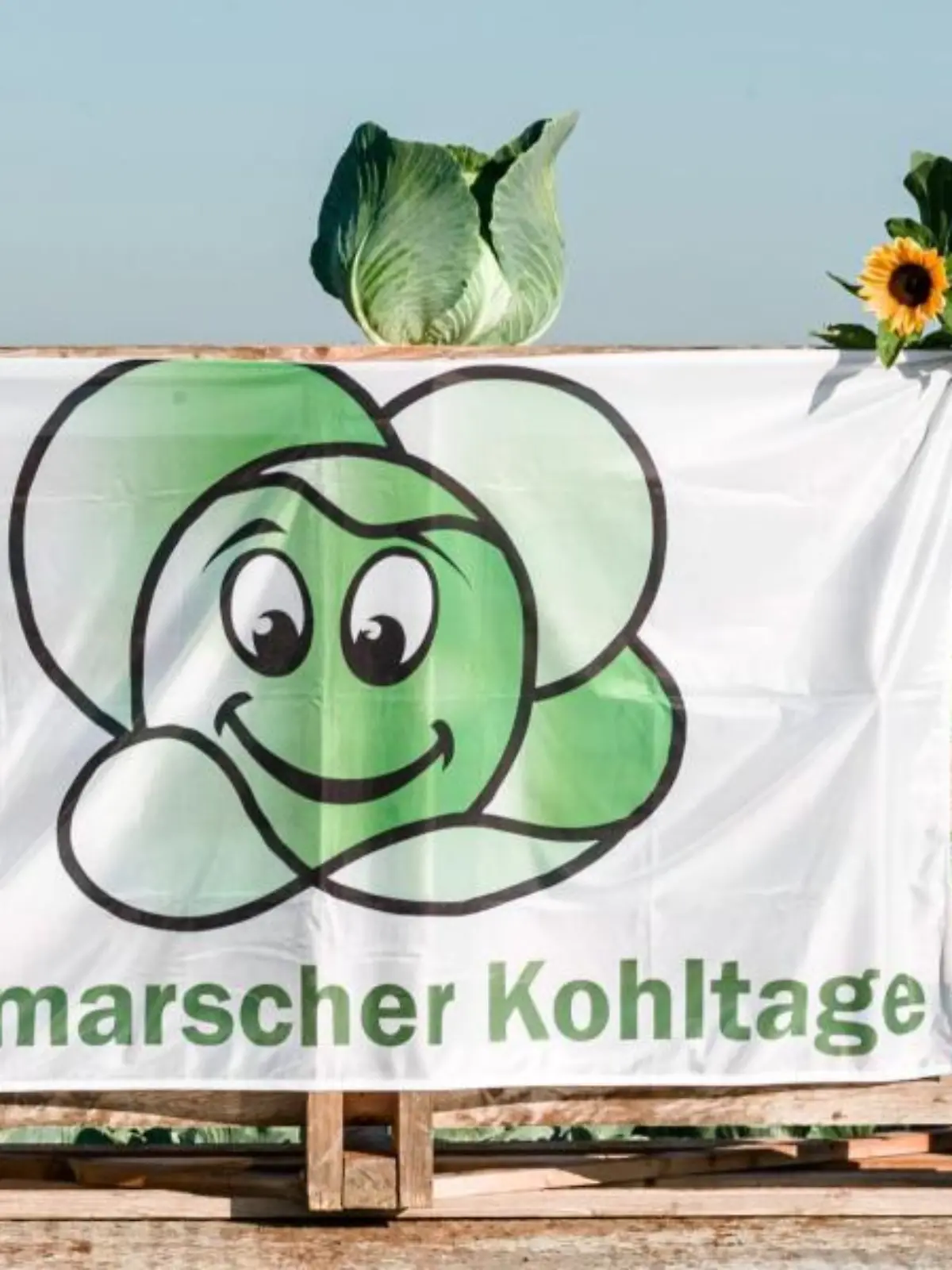 Dithmarscher Kohltage