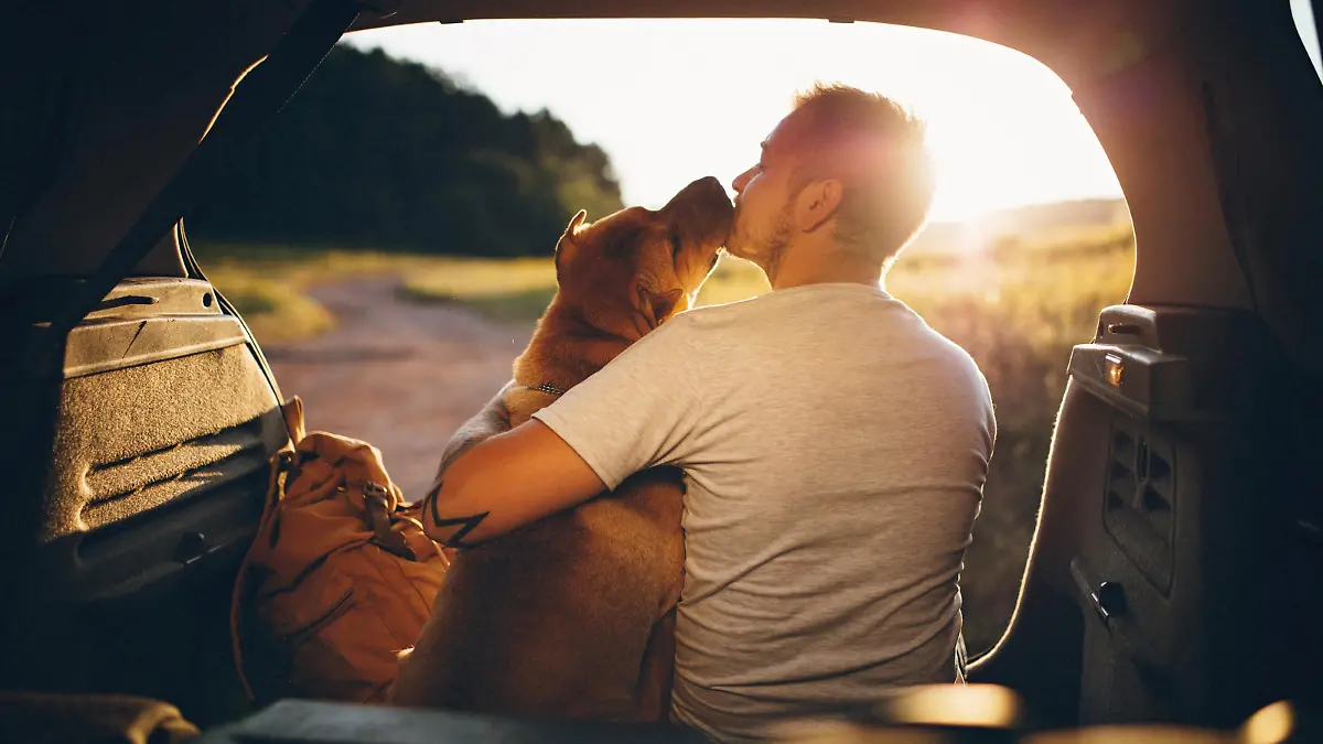 Man and dog
