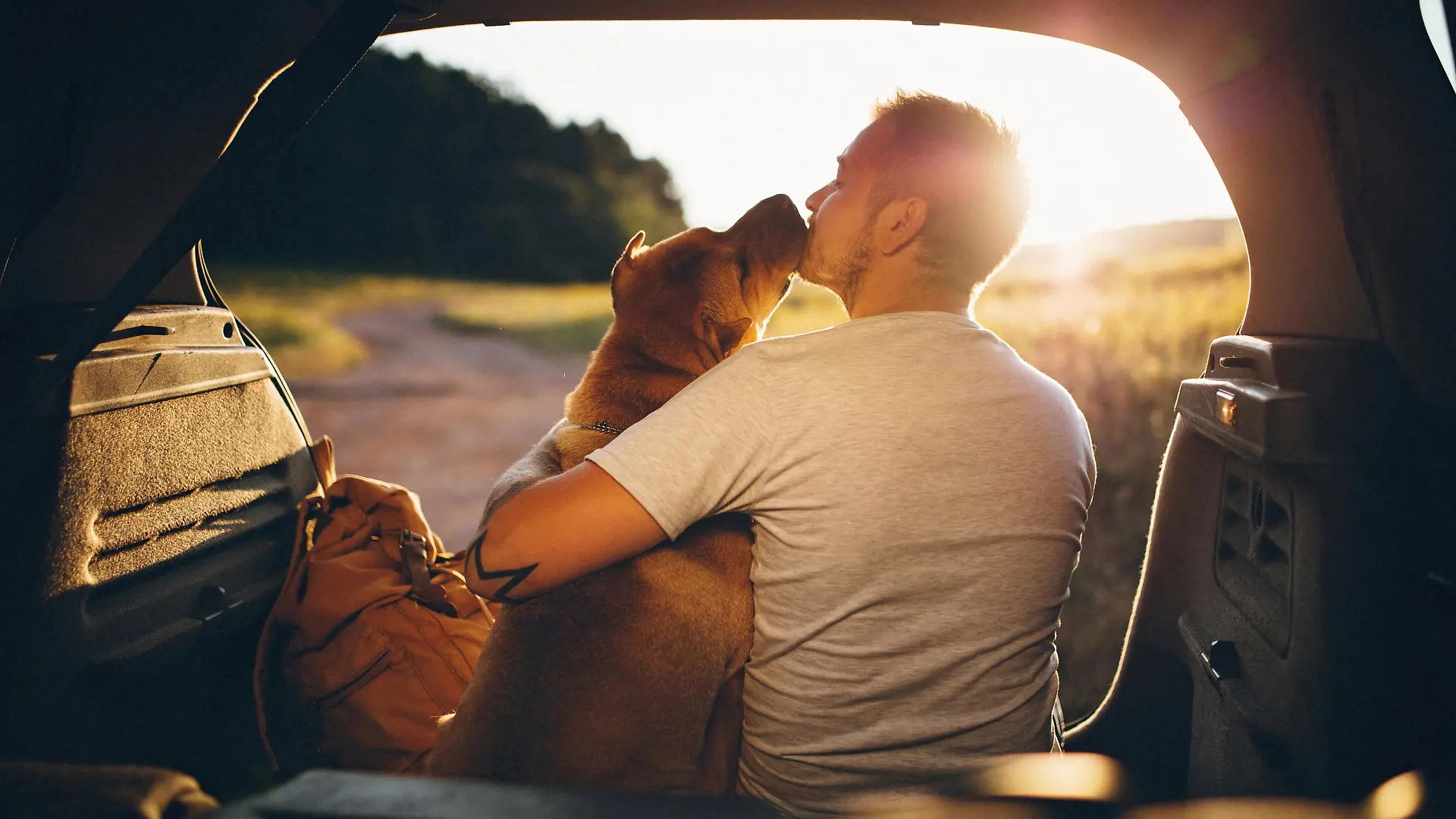 Man and dog