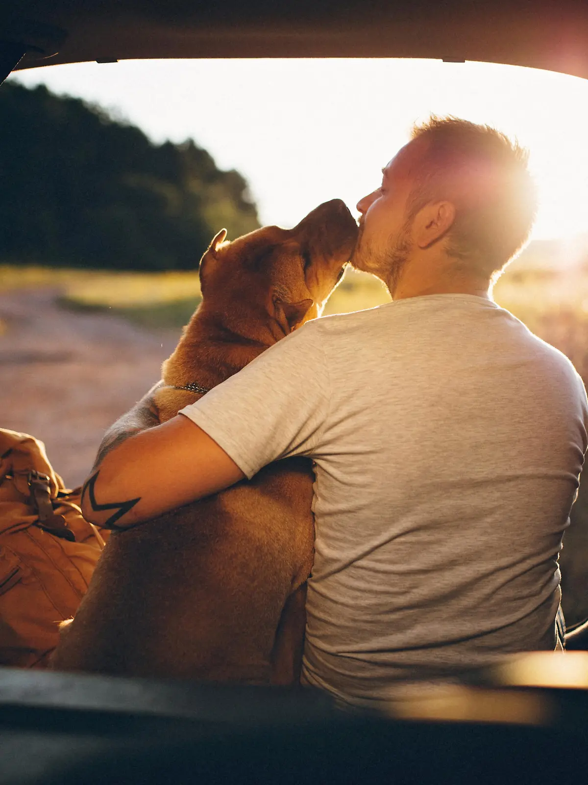 Man and dog