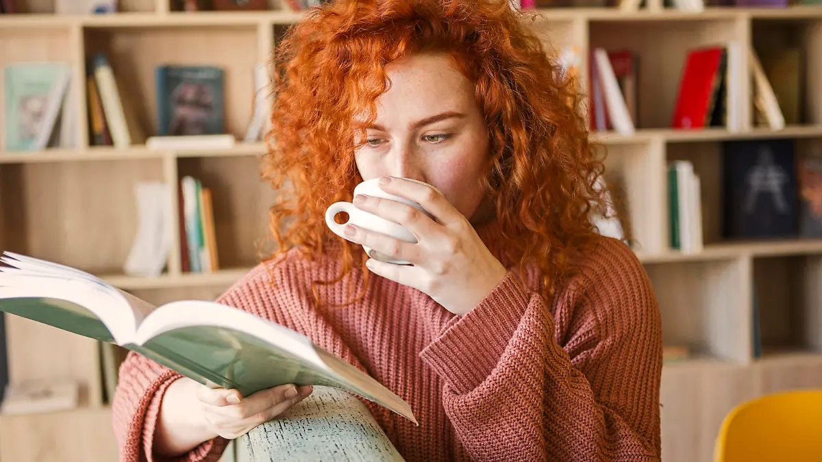 Woman sitting on sofa with mug of coffee reading a book