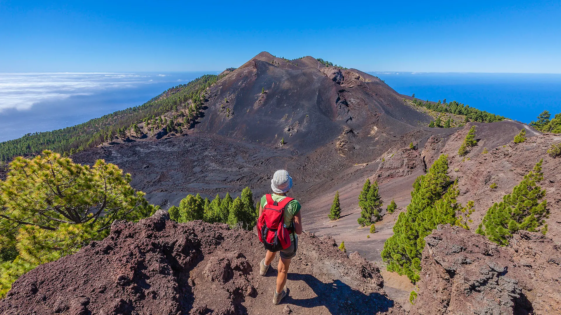 Woman admiring the beautiful volcanic landscape along the Volcano Route, maybe the most spectacular trek of La Palma that follows the ridge of the mountain from El Pilar to Fuencaliente, for a total of about 17 km. You can walk on the edge of a crater, on a land paved with stones and volcanic rocks, but also through the vegetation that gradually takes possession of the territory. And enjoy the panorama on both coasts. Canary Islands, Spain