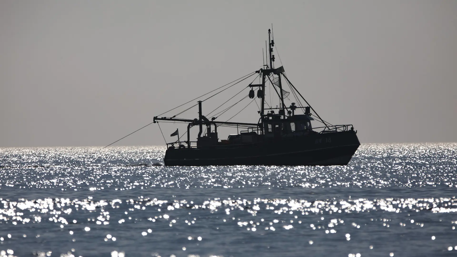 Fischkutter, in der Nordsee, an der Küste bei Egmond aan Zee, Nordholland, Niederlande, *** Trawler in the North Sea at the coast at Egmond aan Zee North Holland Netherlands