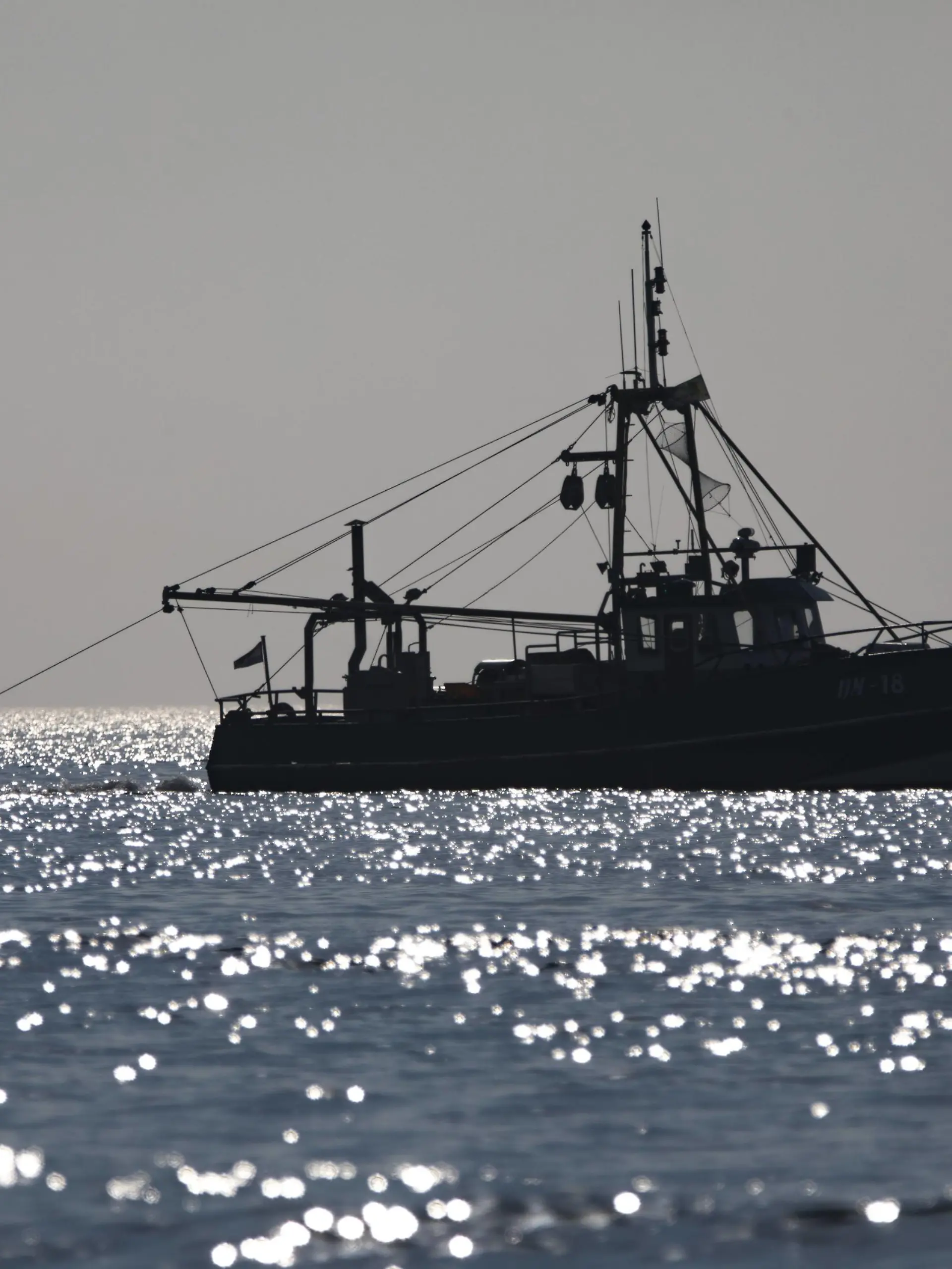  Fischkutter, in der Nordsee, an der Küste bei Egmond aan Zee, Nordholland, Niederlande, *** Trawler in the North Sea at the coast at Egmond aan Zee North Holland Netherlands