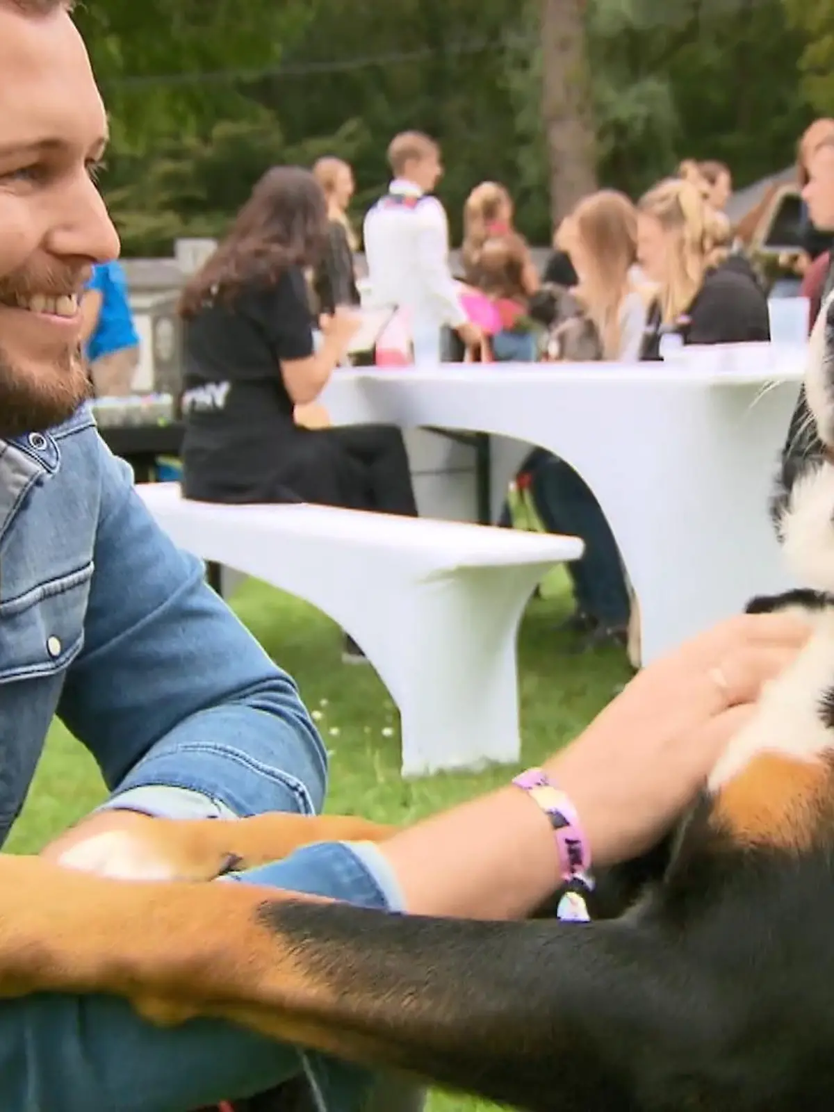 Bild zu: "German Petfluencer Awards verliehen"