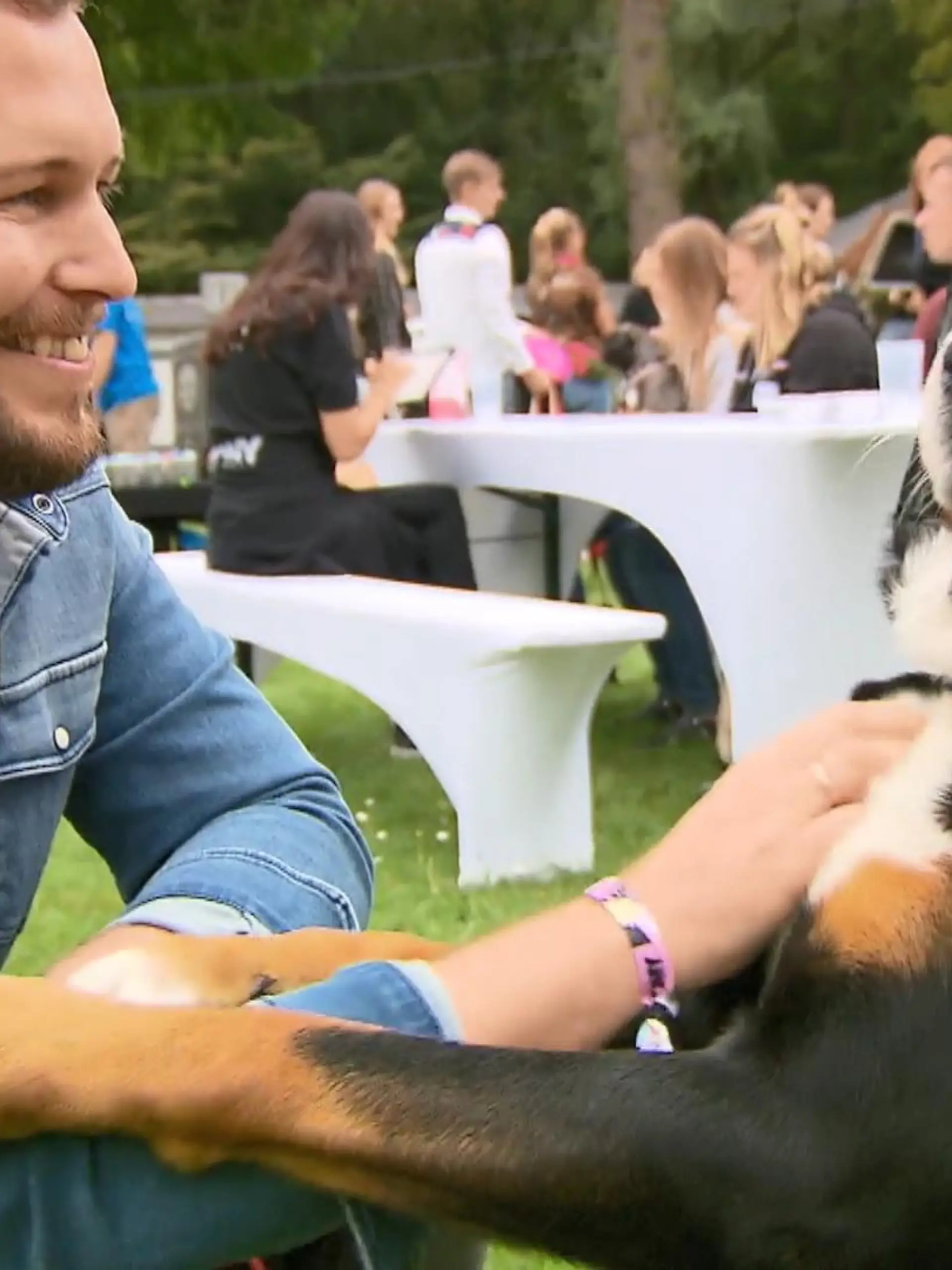 Bild zu: "German Petfluencer Awards verliehen"