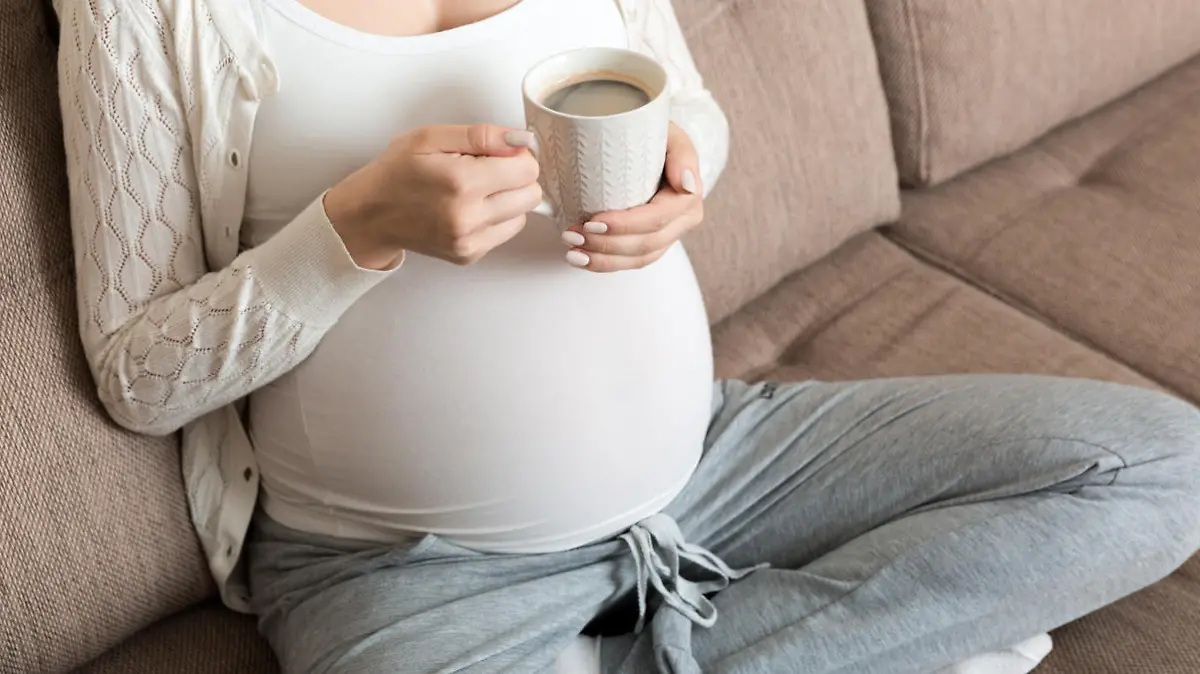 pregnant girl sitting on sofa with coffee Cup in hand coffee. maternity morning.