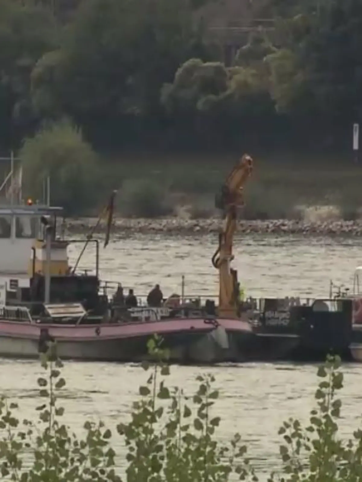 Experten bergen die Yacht auf dem Rhein.  Foto: Fritz Demel