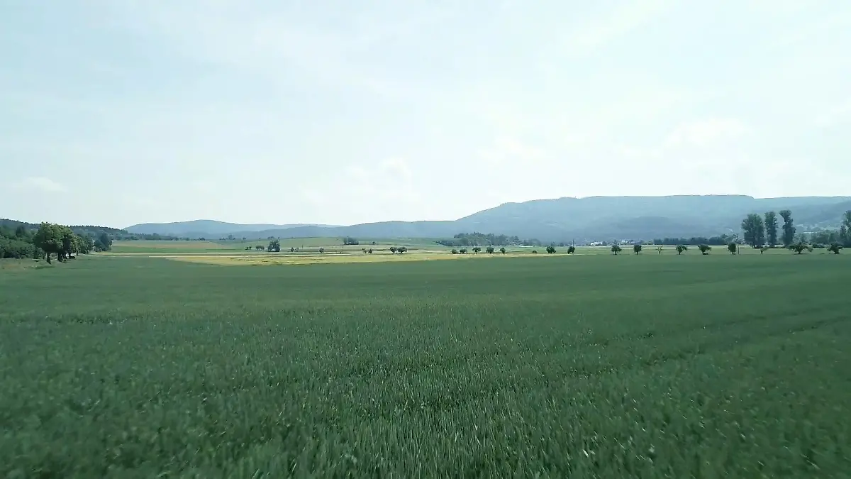 Was tun die Parteien gegen den Klimawandel? Wahlkampf für die Umwelt