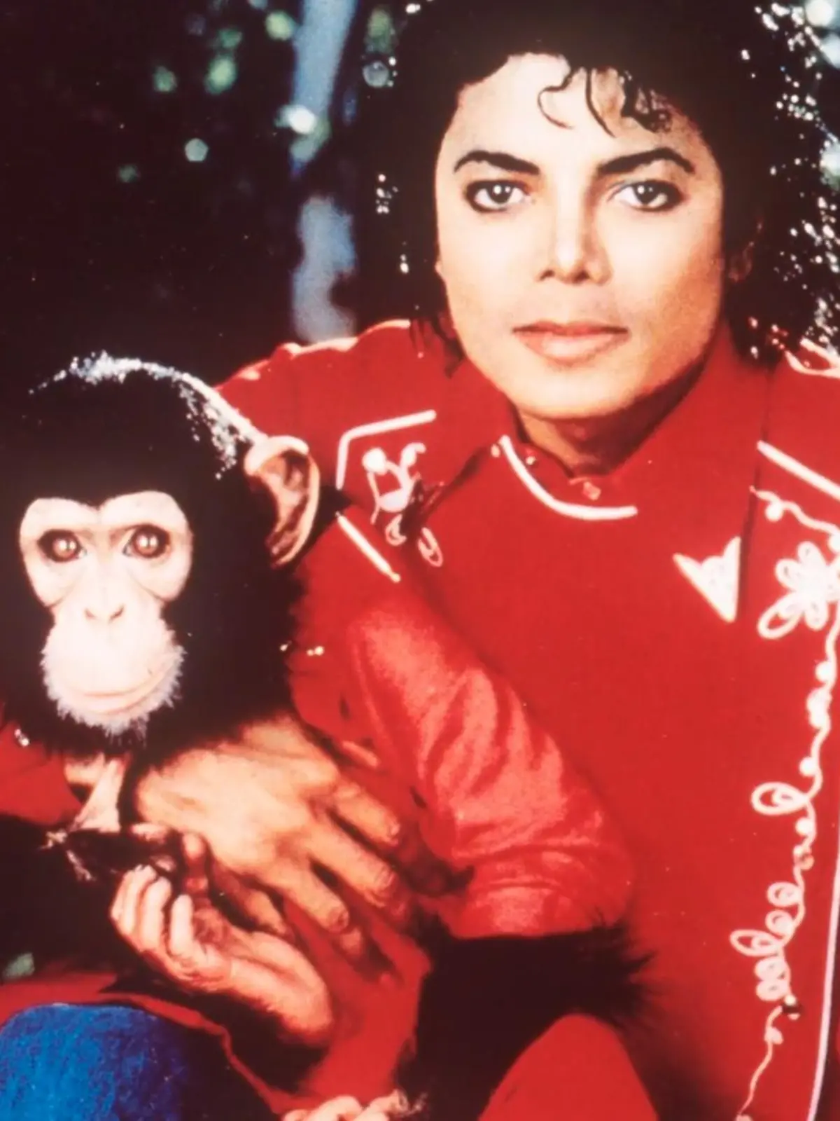 Bild zu: "Was wurde aus Micheal Jacksons Affen?"