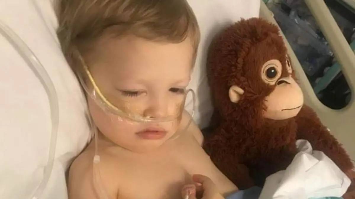 PIC FROM Kennedy News and Media (PICTURED: HARRY MCFARQUHAR, FOUR, IN HOSPITAL) A mum thought her rough-and-tumble tot's bruises were from playing - but was horrified when it turned out he had CANCER. Kimberley McFarquhar, 31, noticed her son Harry McFarquhar, then three, had some small bruises on his legs in May but put it down to him being a typical energetic toddler who had fallen over a lot. But when the tot, now four, started experiencing breathing difficulties, and covid was ruled out, Kimberley and 37-year-old mortgage representative husband James McFarquhar, from Northampton, East Midlands, believed he had a chest infection. DISCLAIMER: While Kennedy News and Media uses its best endeavours to establish the copyright and authenticity of all pictures supplied, it accepts no liability for any damage, loss or legal action caused by the use of images supplied and the publication of images is solely at your discretion. SEE KENNEDY NEWS COPY - 0161 697 4266