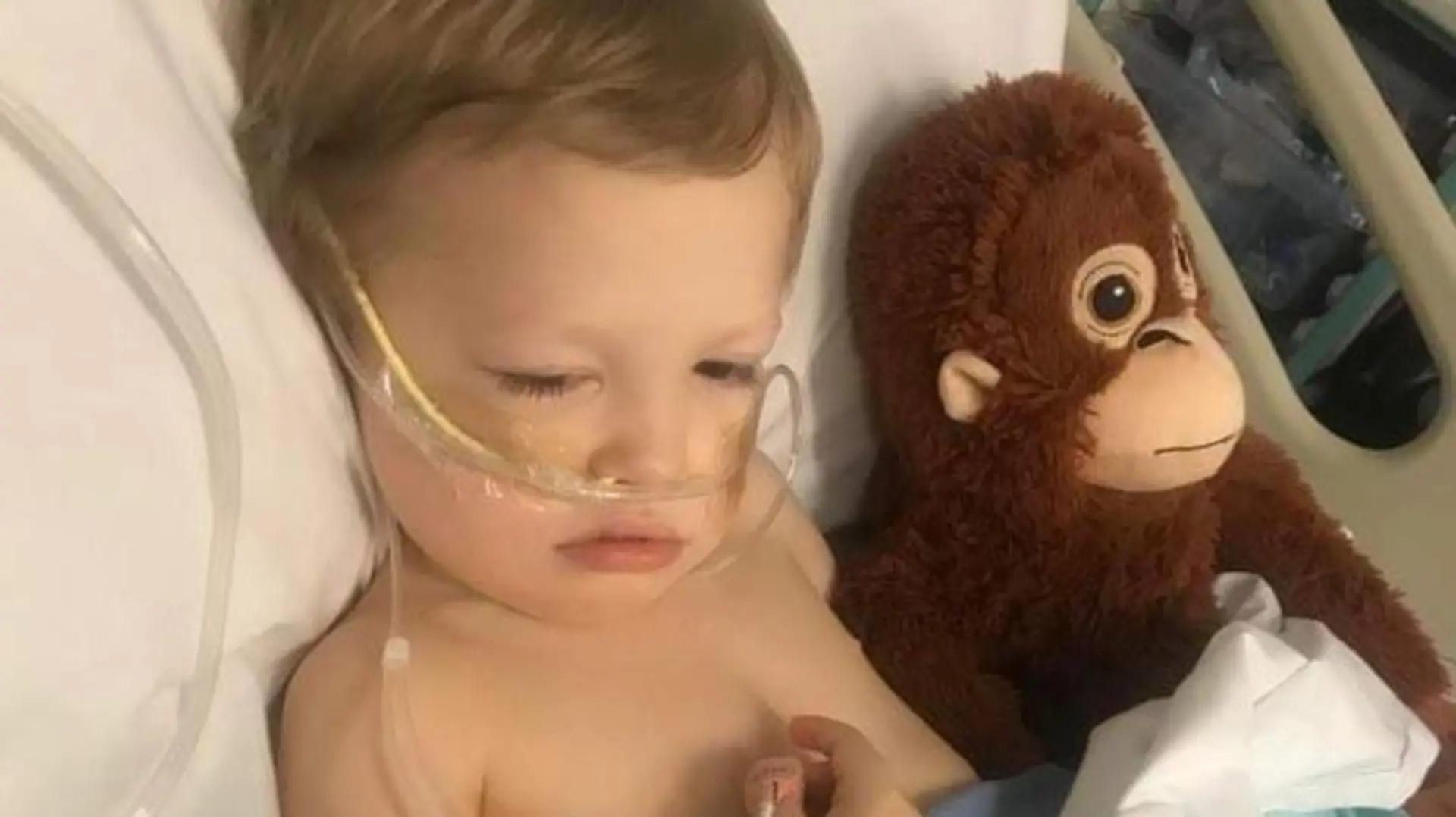 PIC FROM Kennedy News and Media (PICTURED: HARRY MCFARQUHAR, FOUR, IN HOSPITAL) A mum thought her rough-and-tumble tot's bruises were from playing - but was horrified when it turned out he had CANCER. Kimberley McFarquhar, 31, noticed her son Harry McFarquhar, then three, had some small bruises on his legs in May but put it down to him being a typical energetic toddler who had fallen over a lot. But when the tot, now four, started experiencing breathing difficulties, and covid was ruled out, Kimberley and 37-year-old mortgage representative husband James McFarquhar, from Northampton, East Midlands, believed he had a chest infection. DISCLAIMER: While Kennedy News and Media uses its best endeavours to establish the copyright and authenticity of all pictures supplied, it accepts no liability for any damage, loss or legal action caused by the use of images supplied and the publication of images is solely at your discretion. SEE KENNEDY NEWS COPY - 0161 697 4266