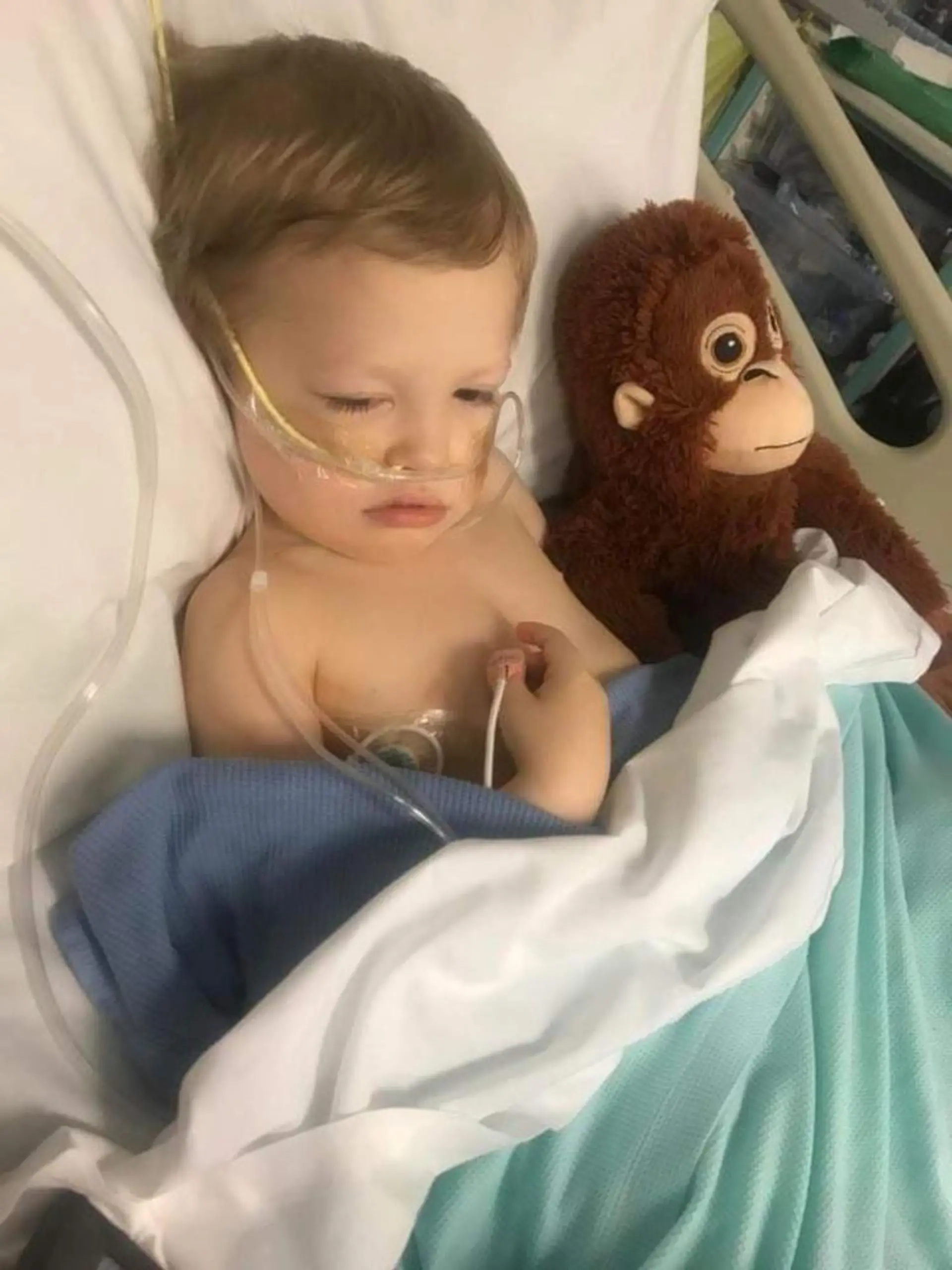 PIC FROM Kennedy News and Media (PICTURED: HARRY MCFARQUHAR, FOUR, IN HOSPITAL) A mum thought her rough-and-tumble tot's bruises were from playing - but was horrified when it turned out he had CANCER. Kimberley McFarquhar, 31, noticed her son Harry McFarquhar, then three, had some small bruises on his legs in May but put it down to him being a typical energetic toddler who had fallen over a lot. But when the tot, now four, started experiencing breathing difficulties, and covid was ruled out, Kimberley and 37-year-old mortgage representative husband James McFarquhar, from Northampton, East Midlands, believed he had a chest infection. DISCLAIMER: While Kennedy News and Media uses its best endeavours to establish the copyright and authenticity of all pictures supplied, it accepts no liability for any damage, loss or legal action caused by the use of images supplied and the publication of images is solely at your discretion. SEE KENNEDY NEWS COPY - 0161 697 4266