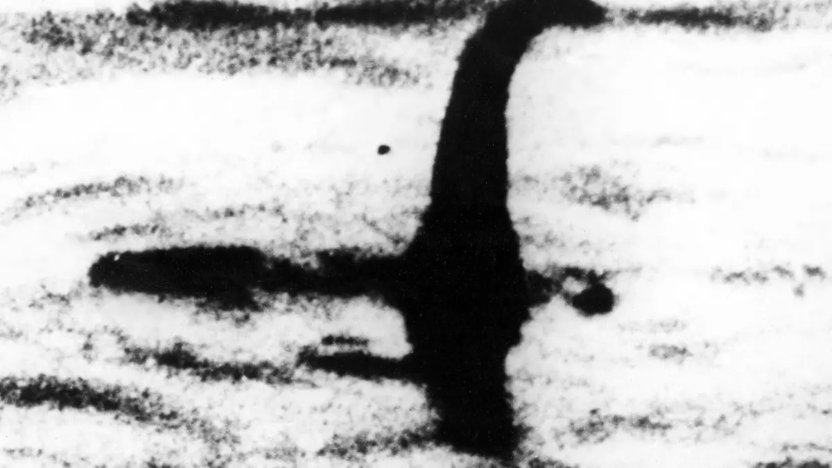 Vermeintliches Ungeheur von Loch Ness Nessie