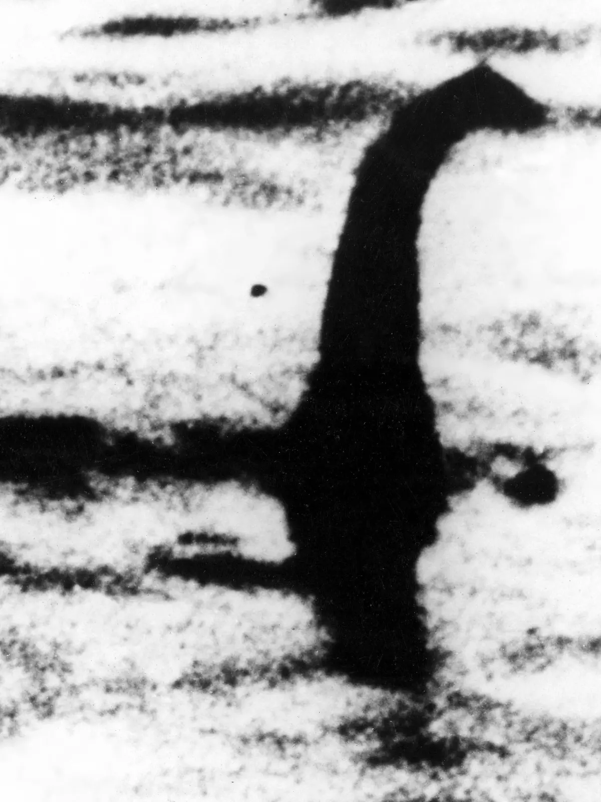 Vermeintliches Ungeheur von Loch Ness Nessie