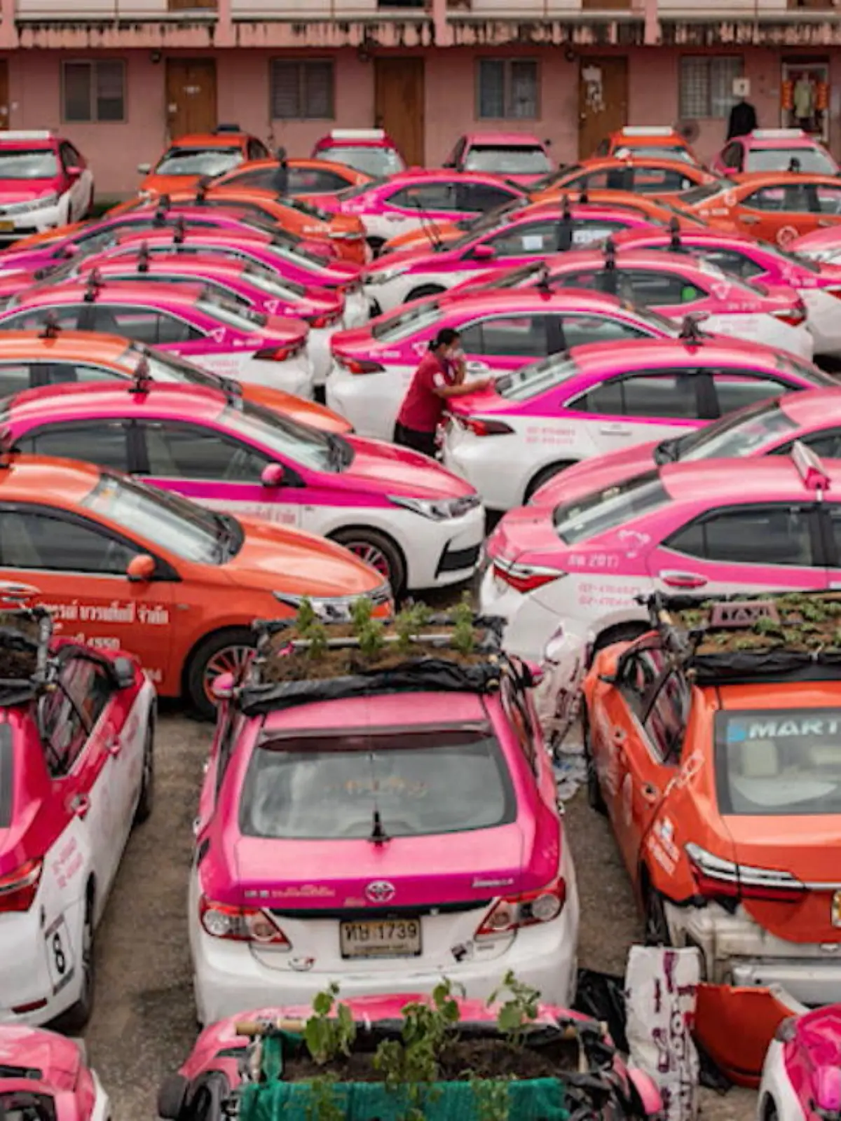Bild zu: "Thai-Taxis werden zu Blumenbeeten"