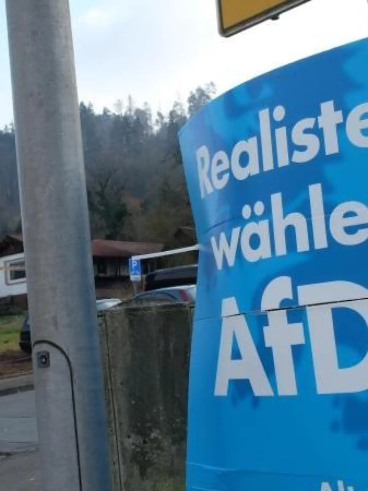 Politologe aus Kassel rechnet nicht mit schnellem Ende der AfD. Foto: UWE ZUCCHI