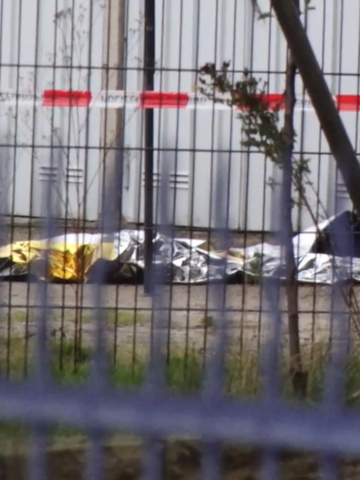 Bild zu: "Mädchen (16) erstochen, Täter flüchtig"
