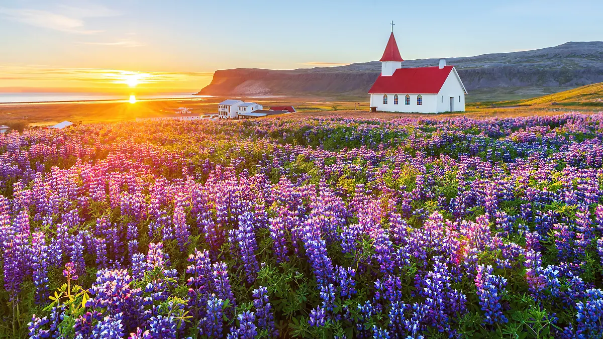 Die Kirche von Breiðavík liegt in Westfjord in der Nähe der beliebten Látrabjarg-Vogelfelsen. Sie ist eine malerische Kirche in Strandnähe, die im Frühling besonders attraktiv ist.