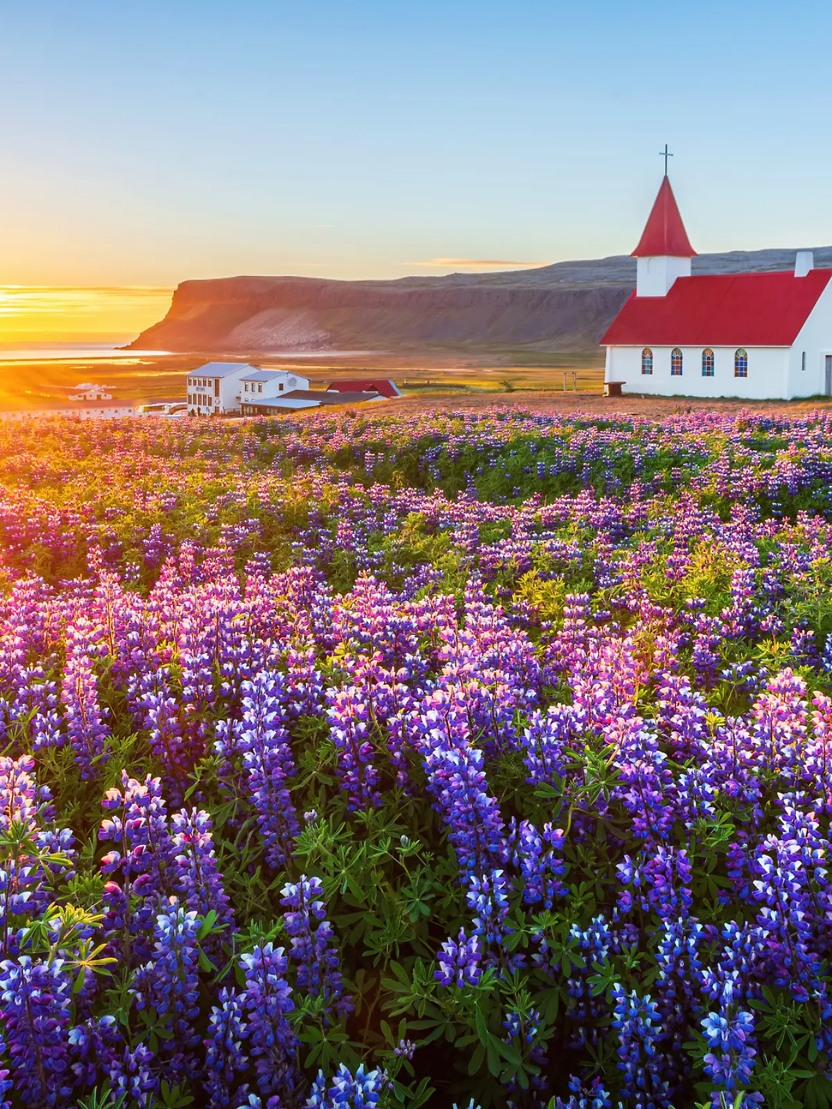 Die Kirche von Breiðavík liegt in Westfjord in der Nähe der beliebten Látrabjarg-Vogelfelsen. Sie ist eine malerische Kirche in Strandnähe, die im Frühling besonders attraktiv ist.