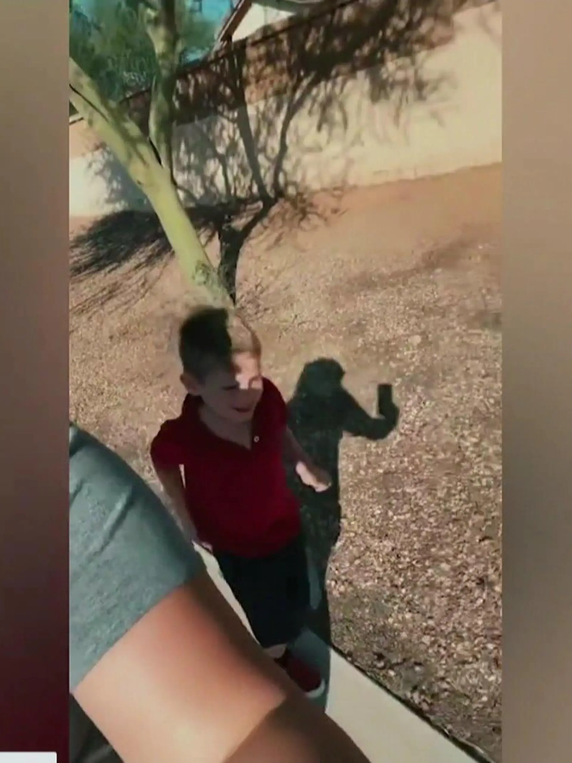 Der 5-jährige kann nicht mehr. Er muss laufen, bei 40°C. Zur Bestrafung.