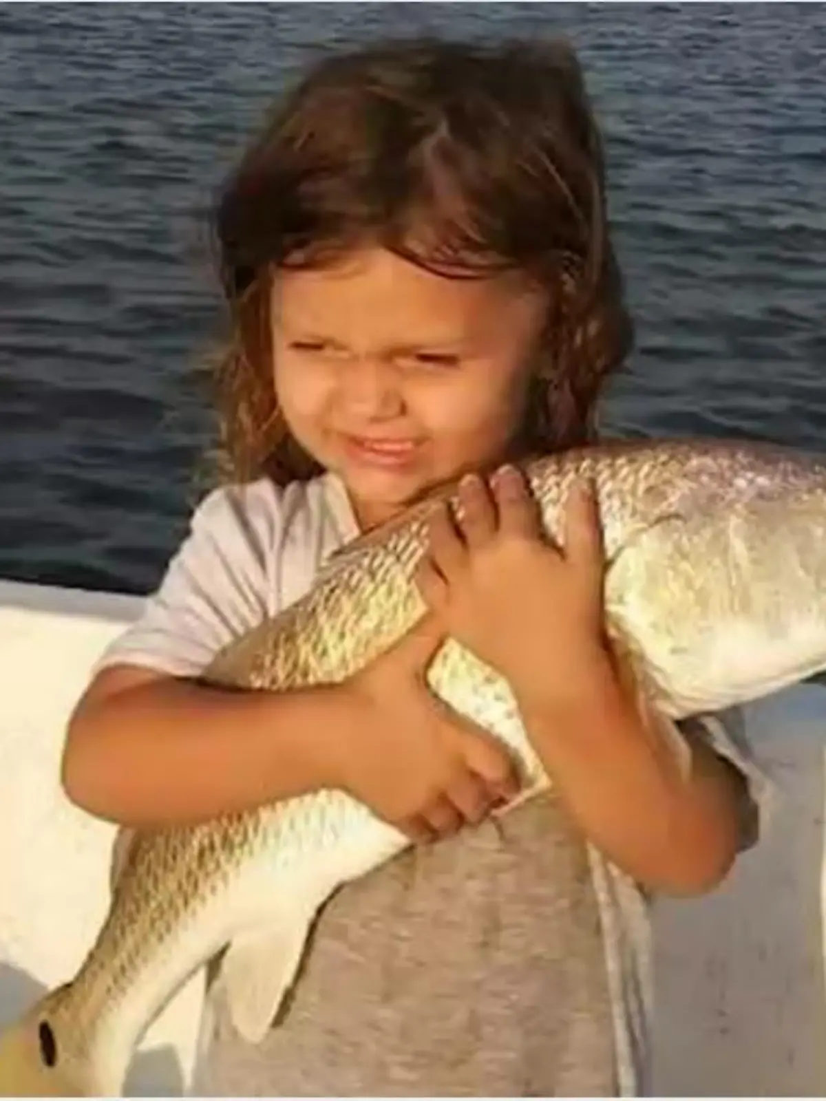 feed
