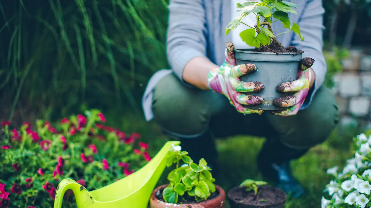 Portrait of mid-adult woman proudly showing her plants