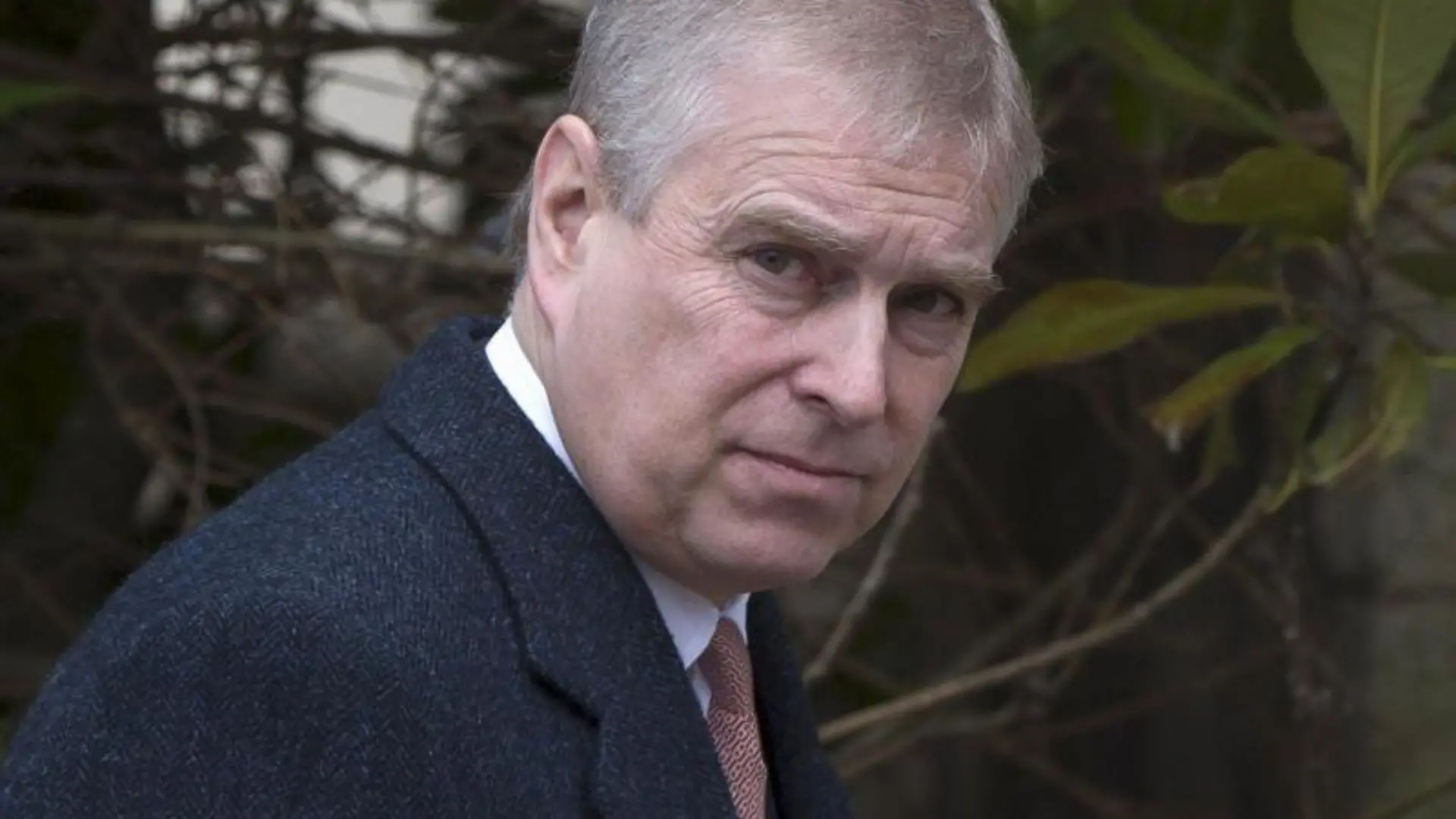 Neil Hall