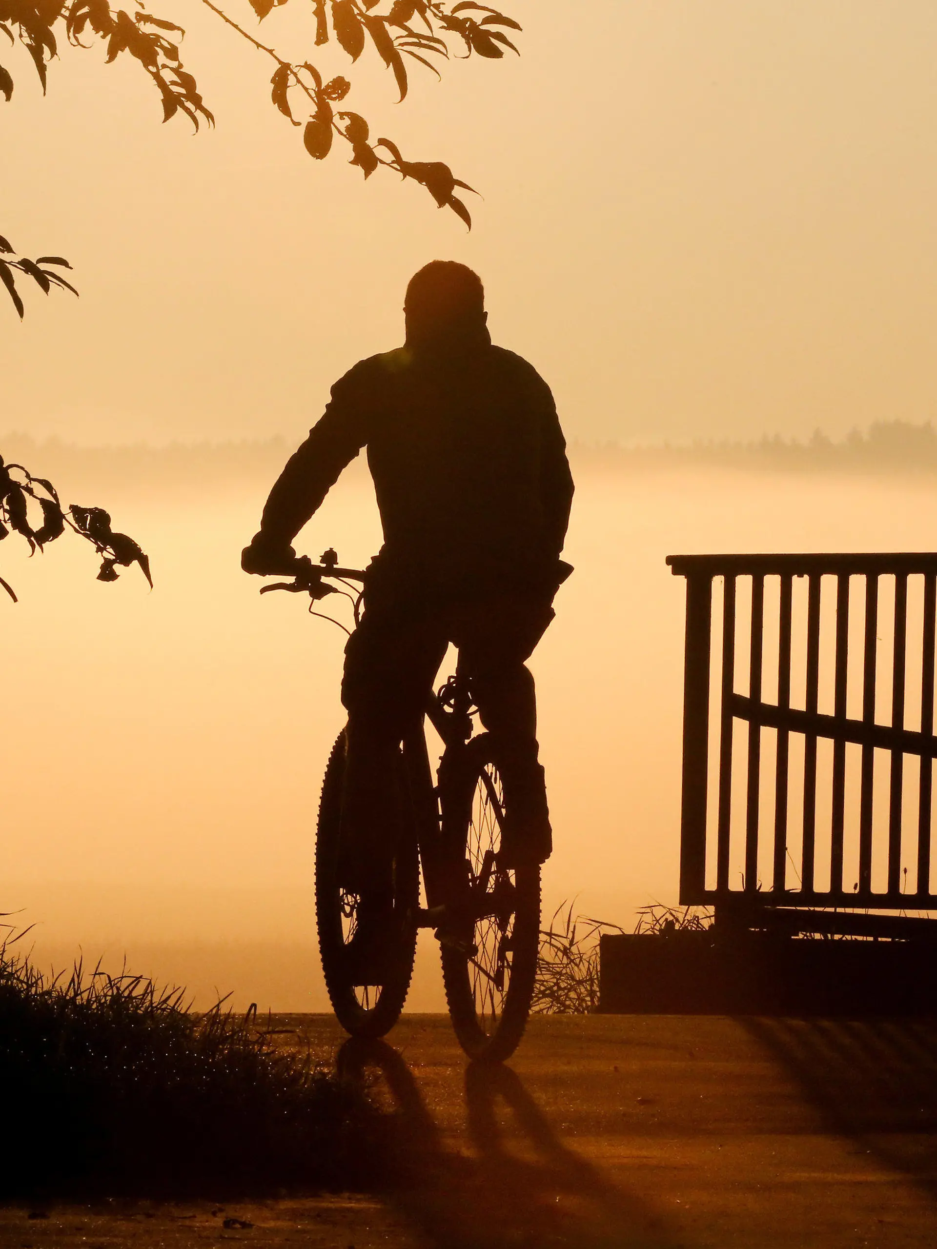 03.09.2021, Baden-Württemberg, Riedlingen: Ein Radfahrer fährt am Morgen im Gegenlicht der Sonne über eine Brücke. Foto: Thomas Warnack/dpa +++ dpa-Bildfunk +++
