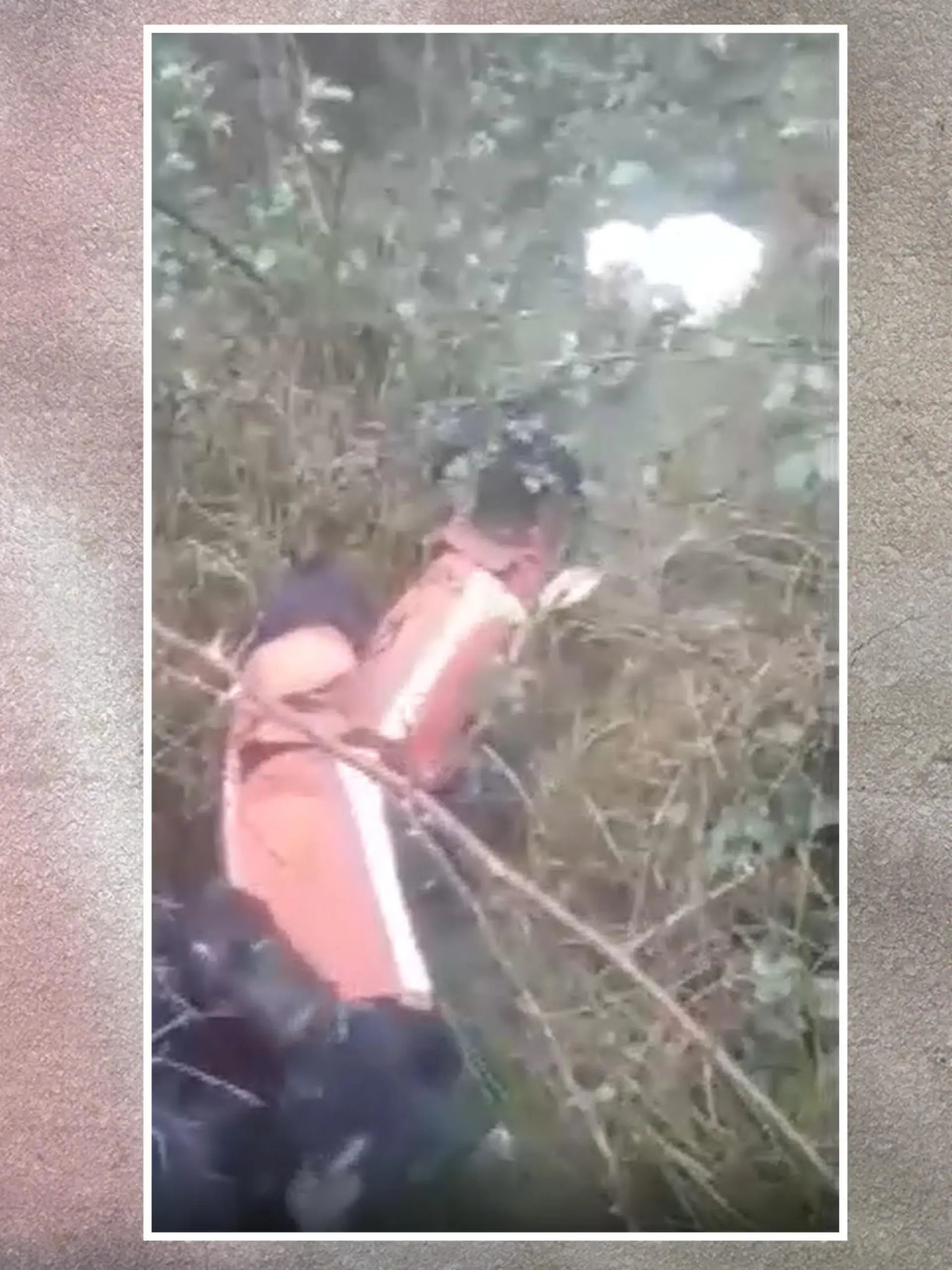 In einem Video war zu sehen, wie mehrere Hunde eine Katze zerfetzten. Ihr Herrchen feuerte die Hunde an und teilte das Video später sogar in den sozialen Medien.