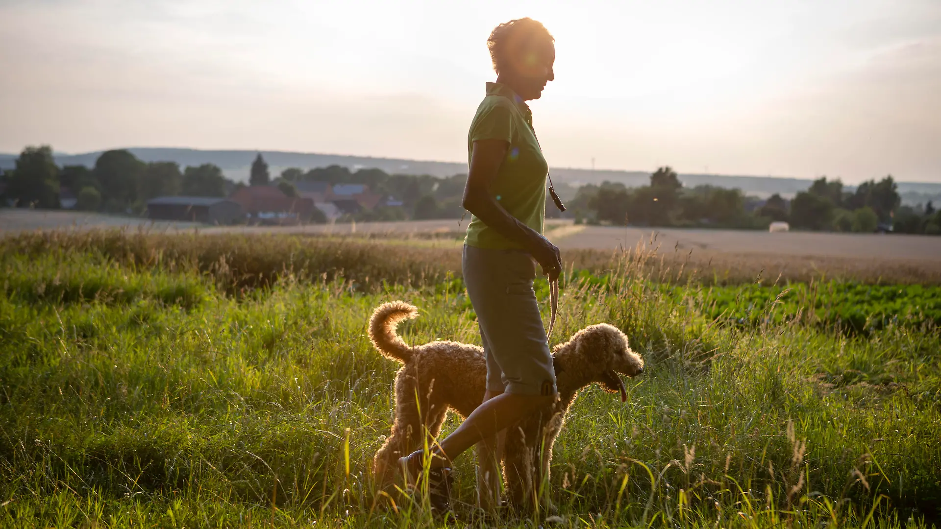 active, senior, woman, walking, dog, rural scene, labradoodle