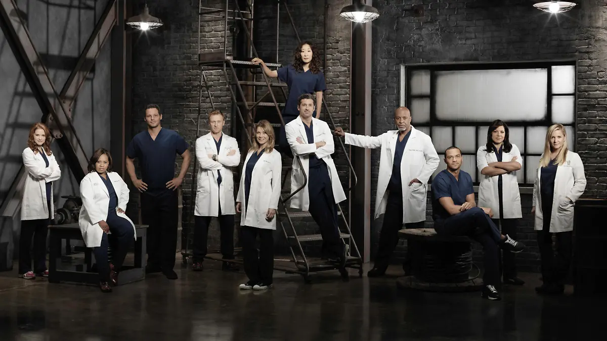 GREY'S ANATOMY, l-r: Sarah Drew, Chandra Wilson, Justin Chambers, Kevin McKidd, Ellen Pompeo, Sandra Oh, Patrick Dempsey, James Pickens Jr., Jesse Williams, Sara Ramirez, Jessica Caphsaw, (Season 9), 2005-, ph: Bob D'Amico/©ABC/courtesy Everett Collection/action press
