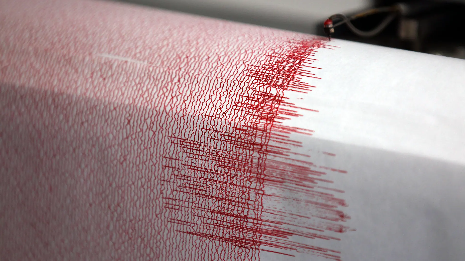 ARCHIV - Der Seismograph der Erdbebenwarte in Bergisch-Gladbach verzeichnet am 14.02.2011 Ausschläge. Ein Erdbeben der Stärke 4,4 hatte damals Menschen in weiten Teilen Nordrhein-Westfalens aufgeschreckt. Ein Erdbeben hat am Donnerstagabend (08.09.2011) den Westen Deutschlands erschüttert. Wie das Geoforschungszentrum (GFZ) in Potsdam mitteilte, lag das Epizentrum an der Grenze zu Holland in der Nähe von Emmerich am Rhein in Nordrhein-Westfalen. Die Stärke des Bebens gab das GFZ mit 3,7 an. Nach ersten Angaben der Bundesanstalt für Geowissenschaften in Hannover lag das Epizentrum dagegen im niederrheinischen Moers. Das Erdbeben habe eine mittlere Stärke von etwa 4,2 gehabt, sagte der Seismologe Gestermann der Nachrichtenagentur dpa. Schäden waren nach Angaben der Leitstelle der Polizei in NRW am Abend zunächst nicht bekannt. Foto: Oliver Berg dpa/lnw (zu dpa 1660 vom 08.09.2011) +++(c) dpa - Bildfunk+++