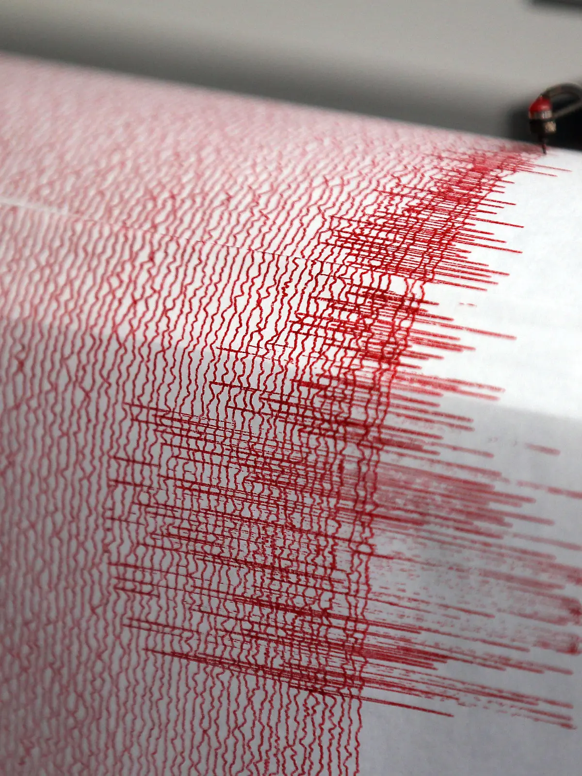 ARCHIV - Der Seismograph der Erdbebenwarte in Bergisch-Gladbach verzeichnet am 14.02.2011 Ausschläge. Ein Erdbeben der Stärke 4,4 hatte damals Menschen in weiten Teilen Nordrhein-Westfalens aufgeschreckt. Ein Erdbeben hat am Donnerstagabend (08.09.2011) den Westen Deutschlands erschüttert. Wie das Geoforschungszentrum (GFZ) in Potsdam mitteilte, lag das Epizentrum an der Grenze zu Holland in der Nähe von Emmerich am Rhein in Nordrhein-Westfalen. Die Stärke des Bebens gab das GFZ mit 3,7 an. Nach ersten Angaben der Bundesanstalt für Geowissenschaften in Hannover lag das Epizentrum dagegen im niederrheinischen Moers. Das Erdbeben habe eine mittlere Stärke von etwa 4,2 gehabt, sagte der Seismologe Gestermann der Nachrichtenagentur dpa. Schäden waren nach Angaben der Leitstelle der Polizei in NRW am Abend zunächst nicht bekannt. Foto: Oliver Berg dpa/lnw (zu dpa 1660 vom 08.09.2011)  +++(c) dpa - Bildfunk+++