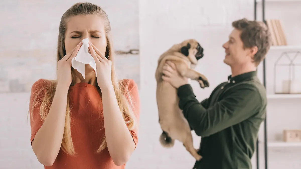 selective focus of blonde girl allergic to dog sneezing in white tissue near cheerful man holding pug