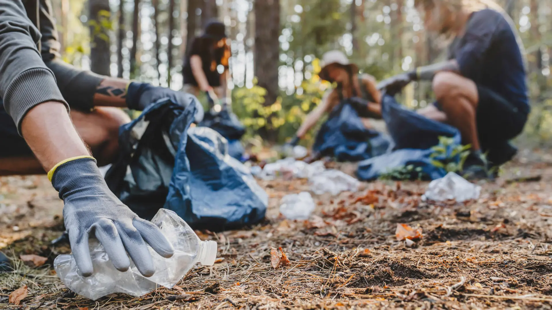 Close up of hands with plastic bottle with group of young people friends volunteers collecting plastic bottles to trash bags in forest background. Ecology concept