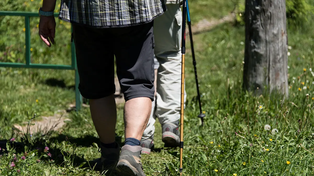 ARCHIV - 11.06.2017, Baden-Württemberg, Schönau: Wanderer gehen am Belchen im Schwarzwald auf einem Wanderweg. Der Weg hat sich bei einer Wahl zur schönsten Tagestour für Wanderer in diesem Jahr durchgesetzt und gewonnen. (zu dpa «Leser stimmen ab: Baden-Badens Panoramaweg ist schönster Wanderweg») Foto: picture alliance / Patrick Seeger/dpa +++ dpa-Bildfunk +++