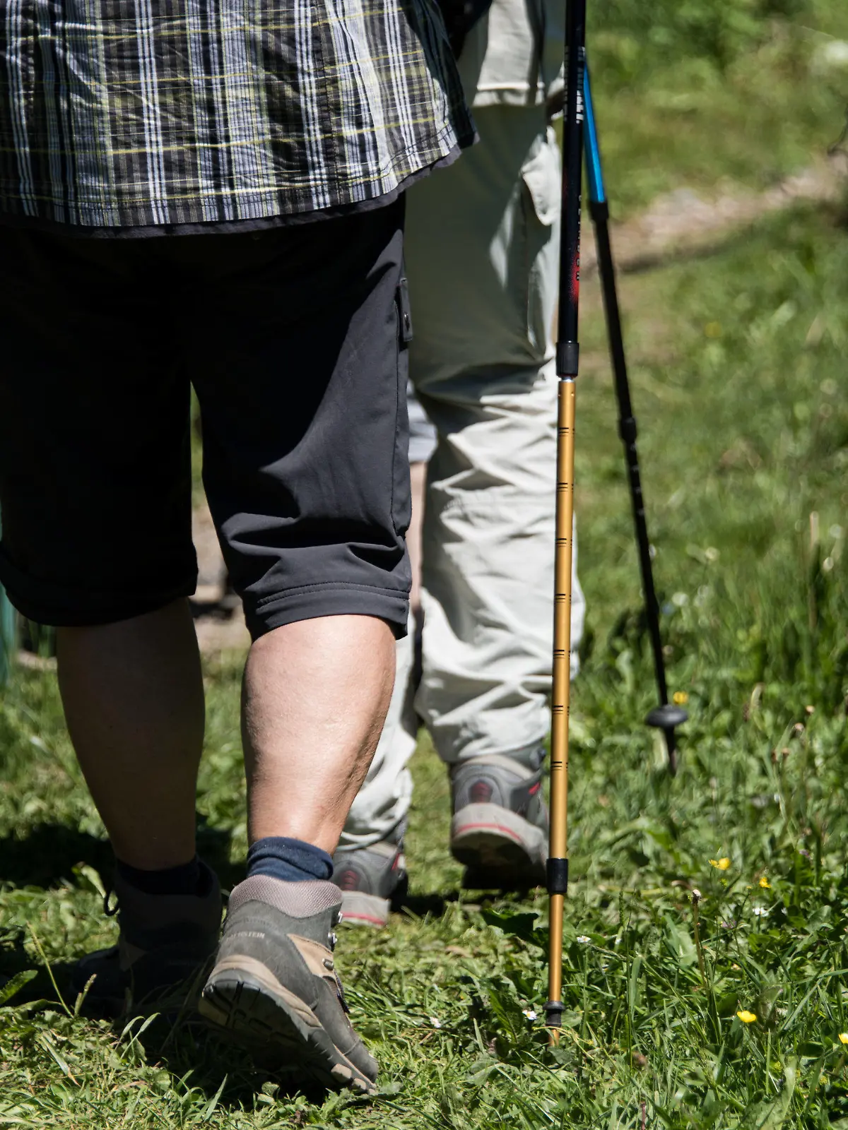ARCHIV - 11.06.2017, Baden-Württemberg, Schönau: Wanderer gehen am Belchen im Schwarzwald auf einem Wanderweg. Der Weg hat sich bei einer Wahl zur schönsten Tagestour für Wanderer in diesem Jahr durchgesetzt und gewonnen.     (zu dpa «Leser stimmen ab: Baden-Badens Panoramaweg ist schönster Wanderweg») Foto: picture alliance / Patrick Seeger/dpa +++ dpa-Bildfunk +++