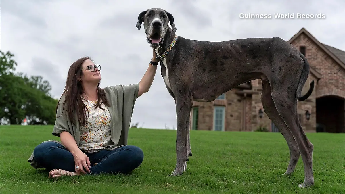 Zeus und sein Frauchen Brittany Davis.