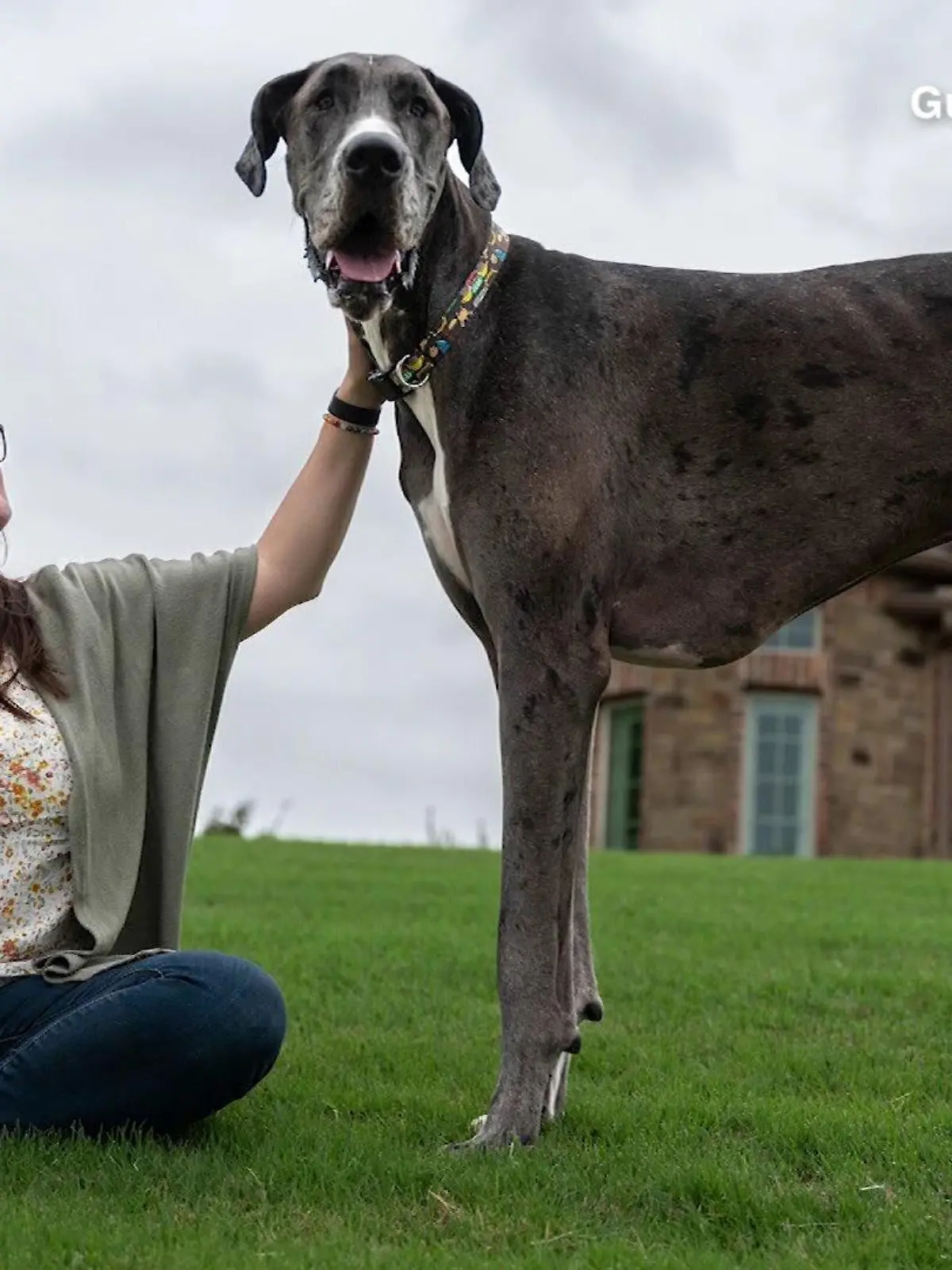 Zeus und sein Frauchen Brittany Davis.