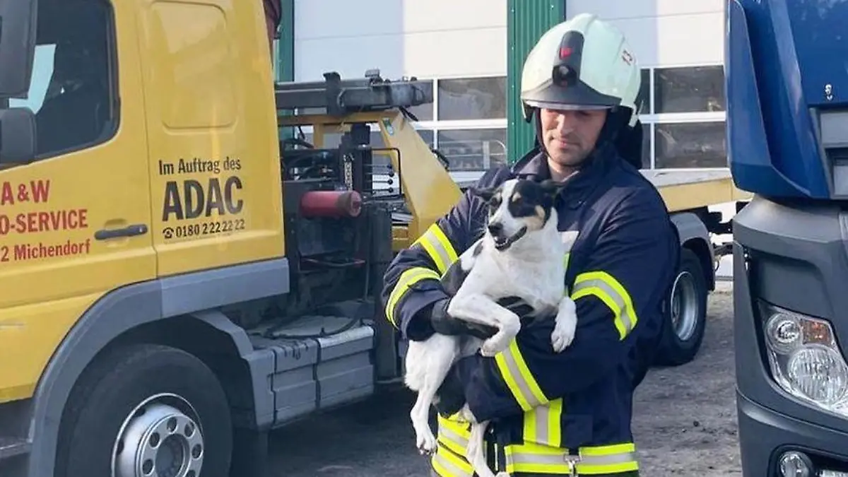 Michendorf Rettung Hund aus Lkw