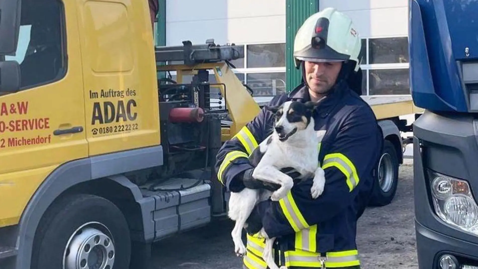Michendorf Rettung Hund aus Lkw