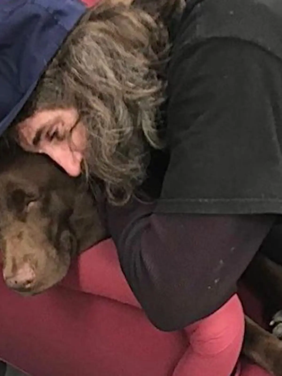 Bild zu: "Obdachloser findet seinen Hund wieder"