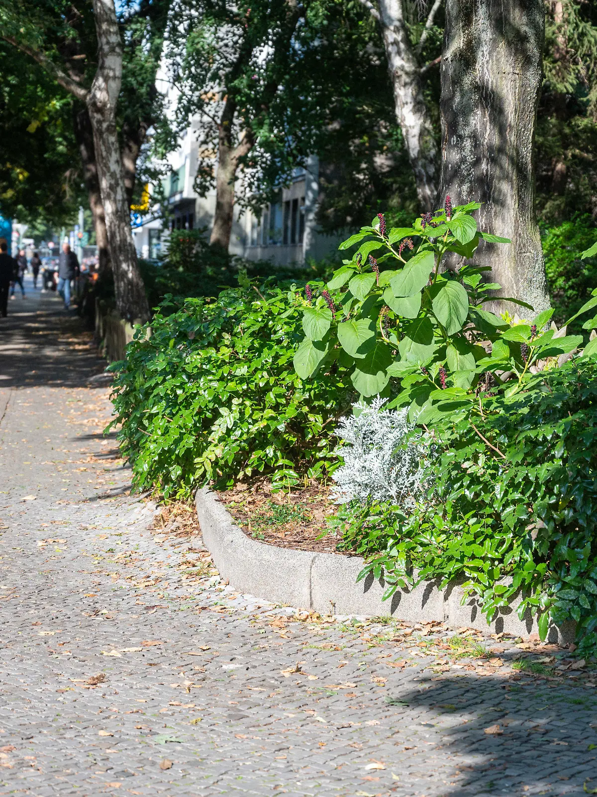 06.09.2021, Berlin: Ein Mann soll eine 58-Jährige in einer Berliner Grünanlage an der Ecke Prinzregentenstraße/Güntzelstraße durch Messerstiche in den Hals lebensgefährlich verletzt haben. Foto: Christophe Gateau/dpa +++ dpa-Bildfunk +++