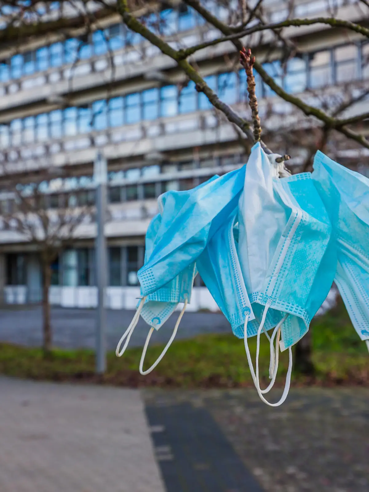 used covid masks hanging from a tree
