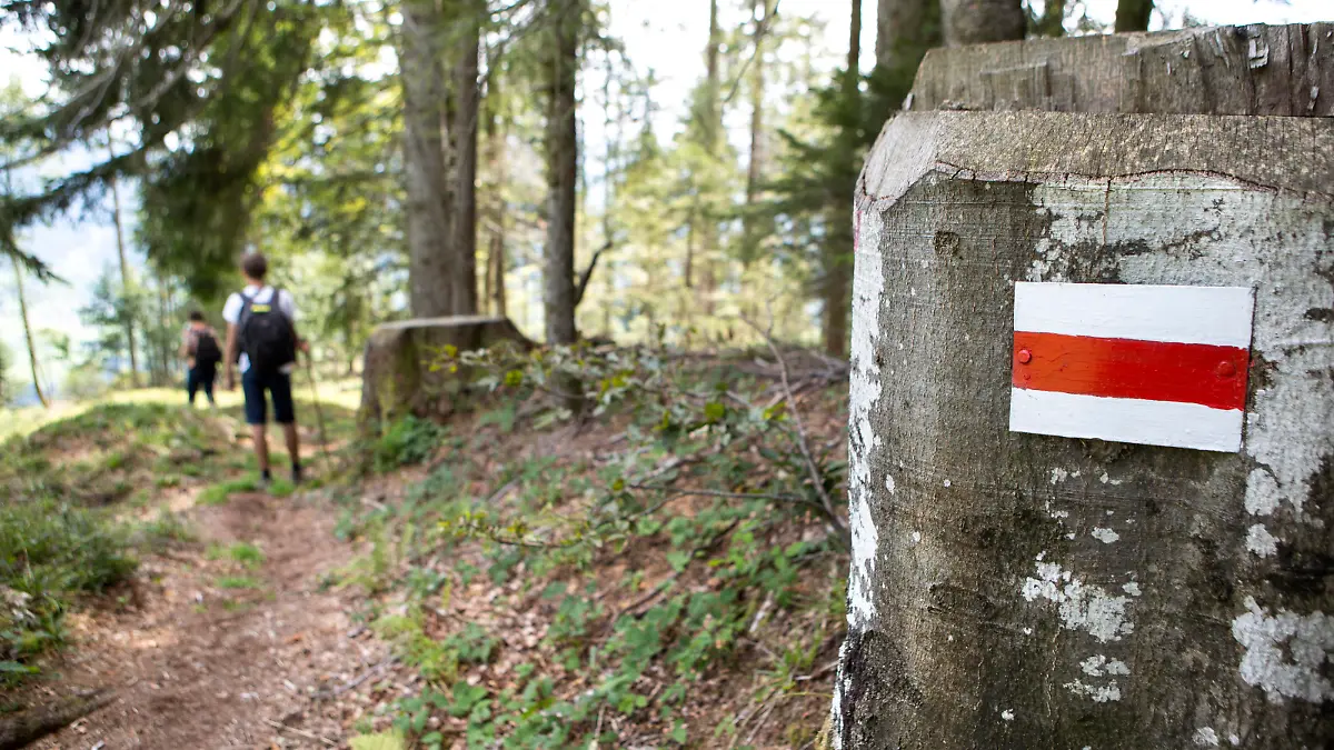 Wanderweg, Markierung